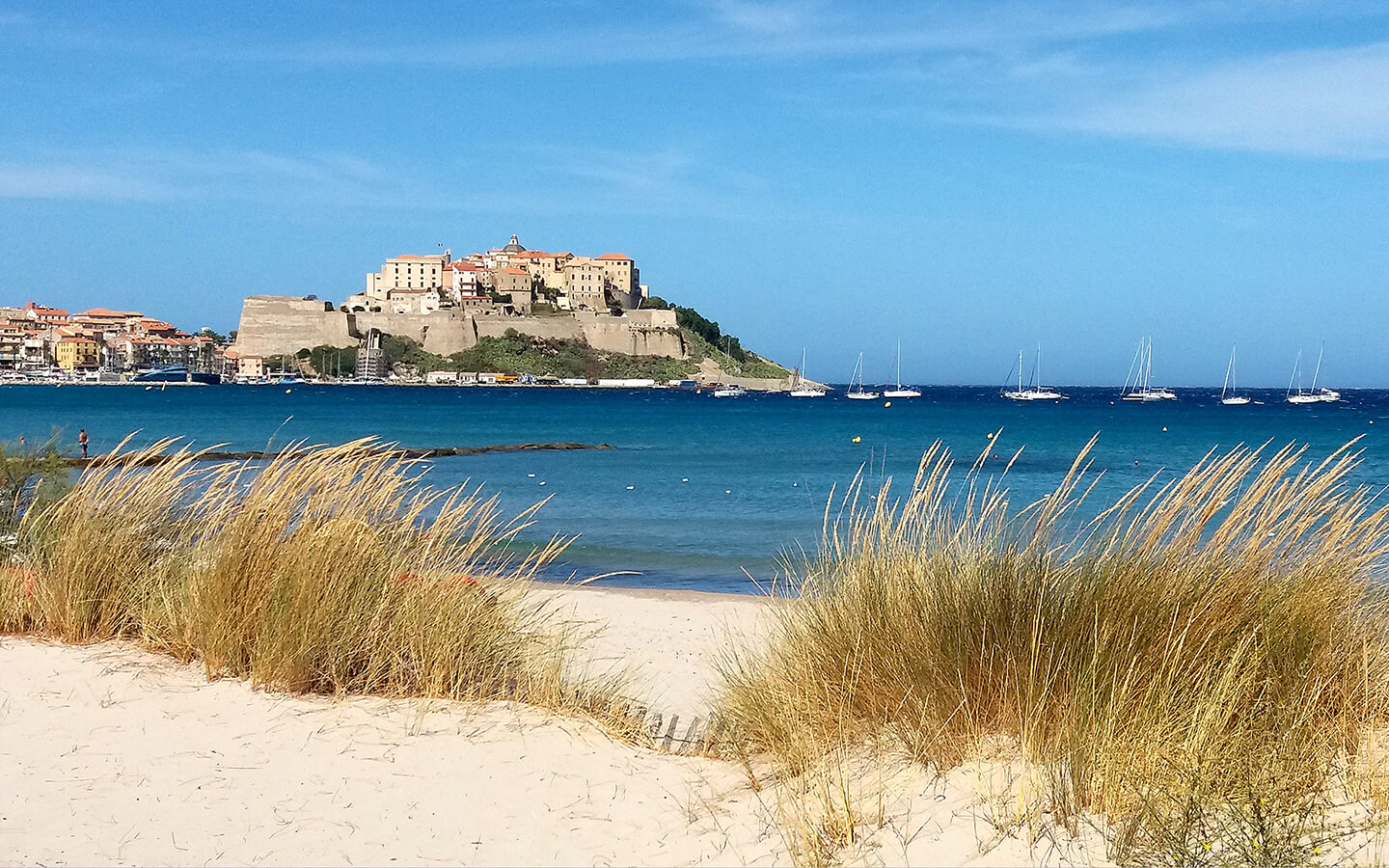 Korsika Strand Blick auf Zitadelle